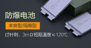 防爆電池